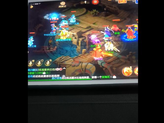 站群和独立站